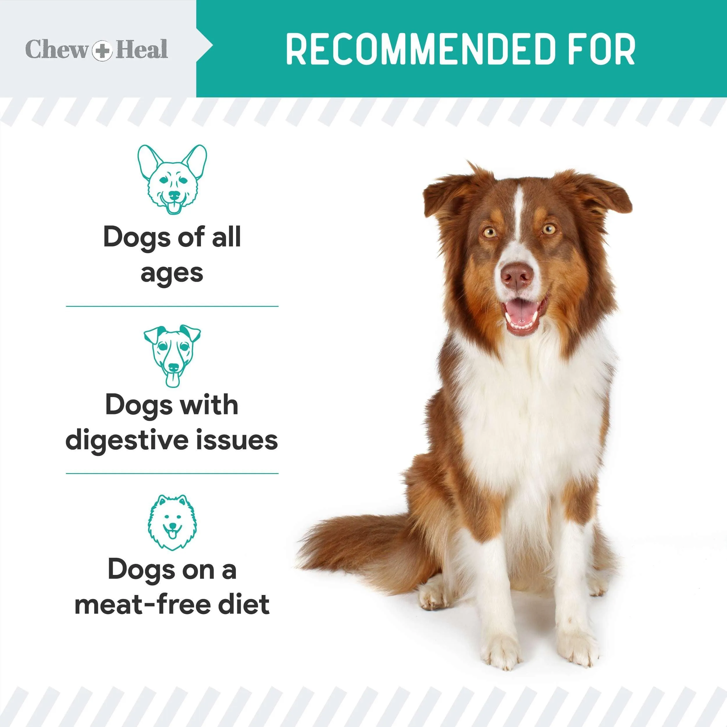 Chew   Heal Probiotic Salmon Jerky  Dog Treats