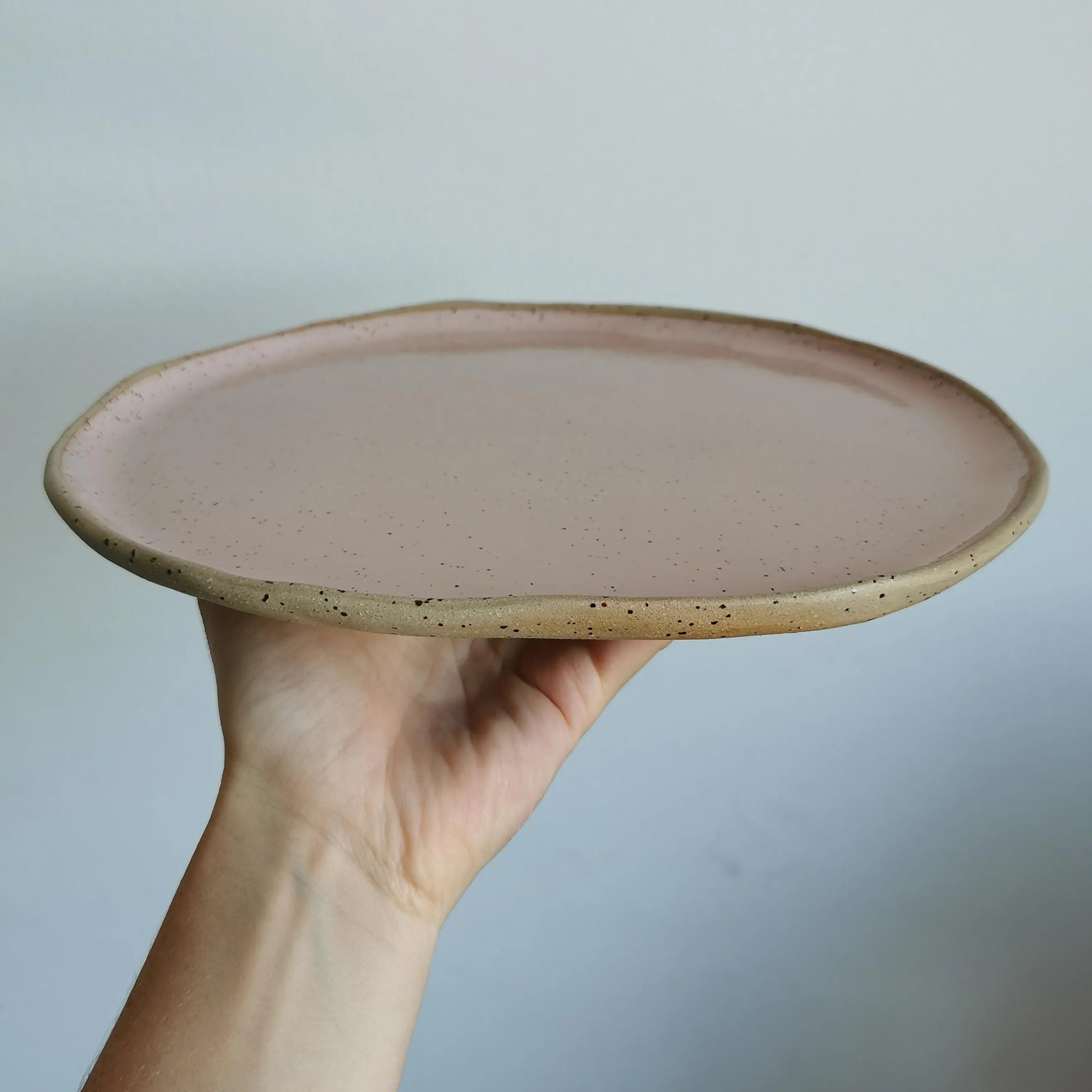 Medium sized plate No. 2