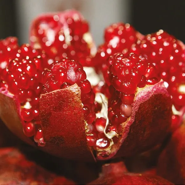 Pomegranate & Plum Small Tumbler