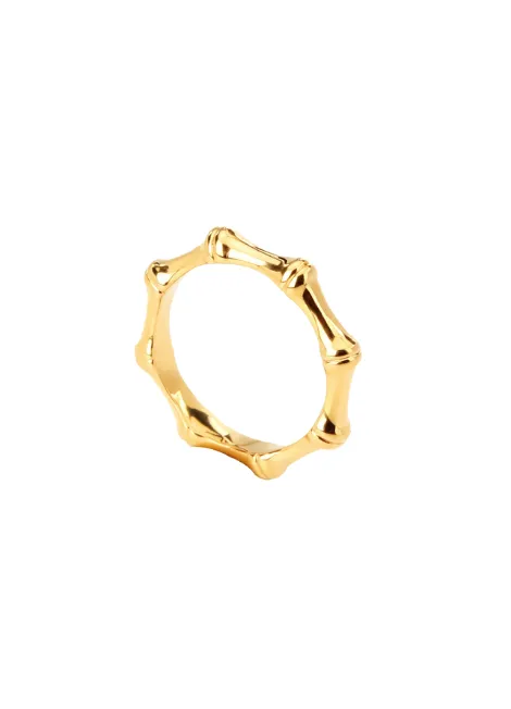 Ring | Baani Bambou | 18K Gold Plated