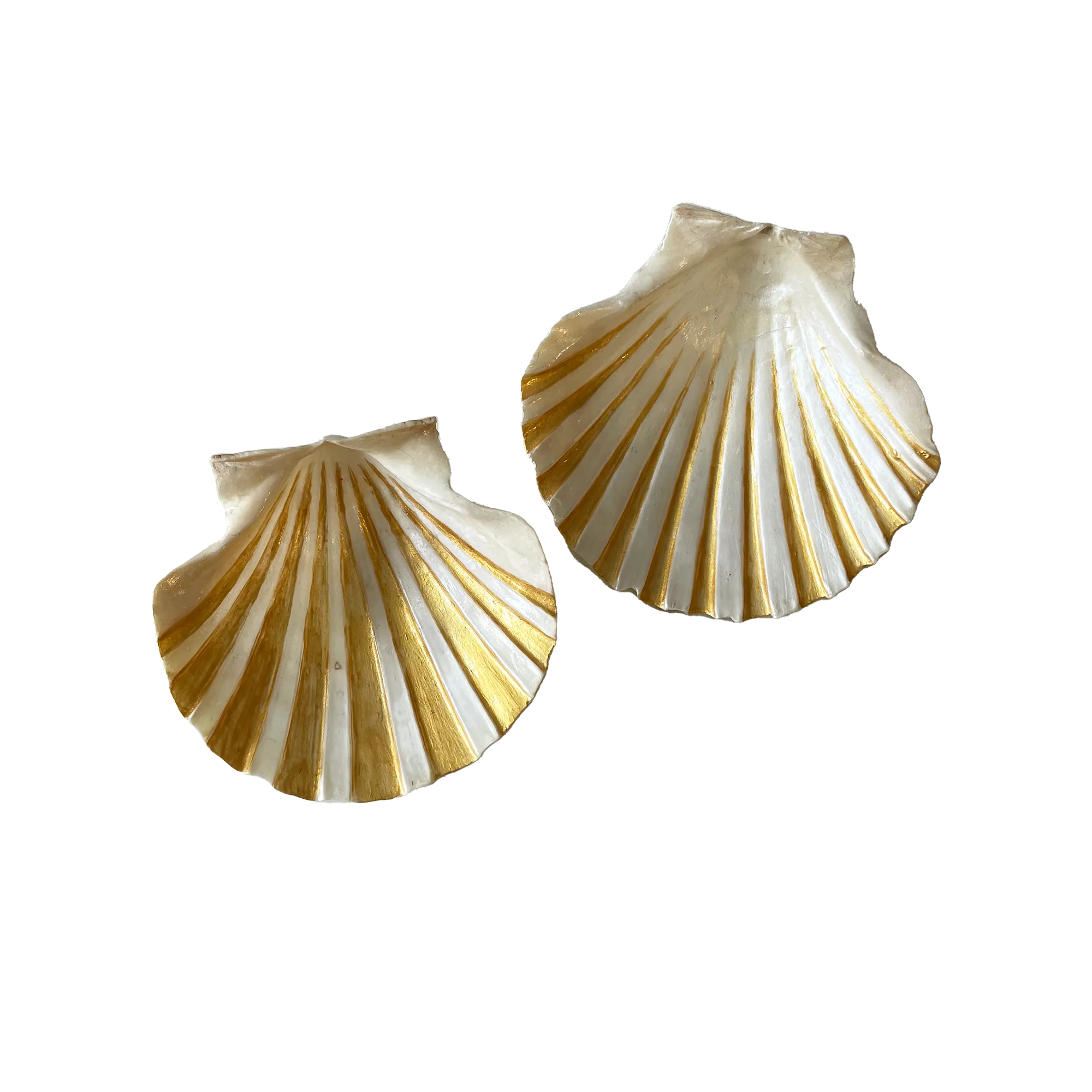 Shell Ring Dish