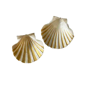 Shell Ring Dish